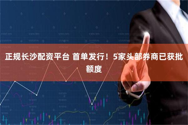 正规长沙配资平台 首单发行！5家头部券商已获批额度