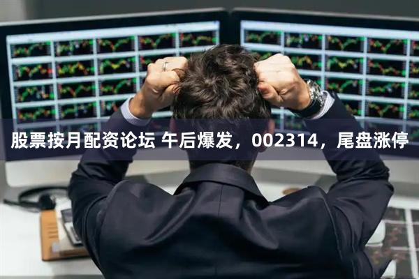 股票按月配资论坛 午后爆发，002314，尾盘涨停