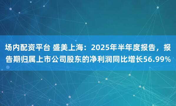 场内配资平台 盛美上海：2025年半年度报告，报告期归属上市公司股东的净利润同比增长56.99%